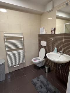 Apartma comfort Koper - 5