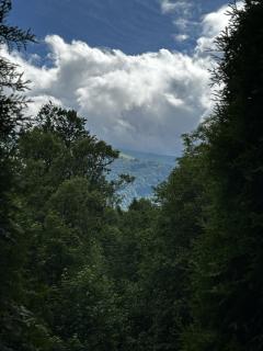 Eagle's Nest-Retreat in Mountain Country Club - 1