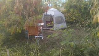 My little Hide - Mein kleines Versteck - 0