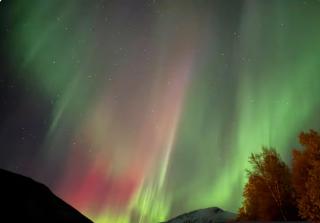 Svartisen Northern Light - 7