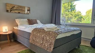 Modern, spacious villa with Sauna - 6