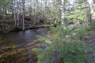 Snowsbrook 15 WV Waterville Valley Vacation Condo - 1