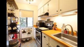 Windsor Hill E53 WV Updated Pet Friendly Windsor Hill Condo - 7