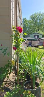 Billing Aquadrome ,2 bedrooms, KM 12 - 7