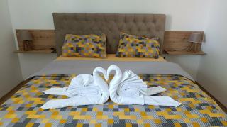 Apartman Pavlov 023 - 0