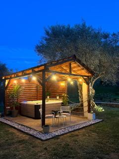 Olive grove Sofias Garden - 2