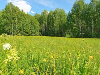 5 star holiday home in LIKENÄS - 9