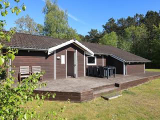 Lush Holiday home in Hadsund - 9