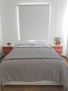 Bright 1BR with Optional Rooftop well Connected - 7