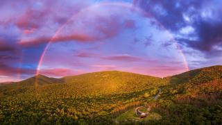 Luray Yurt - World's Largest Yurt - Sleeps 16, Hot Tub, Sauna, Pond - 3