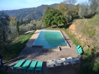 Holiday Home in Pescia with Private Pool - 5