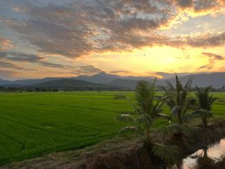 Punna Z View - ปั๋นนา ซี วิว - 3