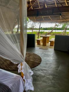Foresta Yala - 6