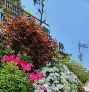 Solhyanggi Pension - 2