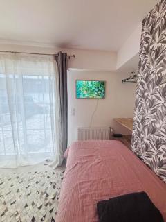 studio 23m2 avec piscine chauffée patagéee - 2 lits simples - 9