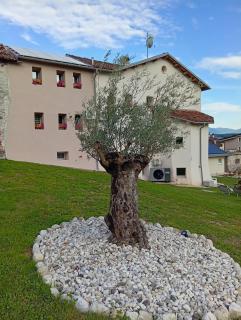 Agriturismo BORRIERO Rooms & Wellness - 9