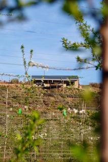 Nicara Luxury Ecocabin Honeypunch - 2