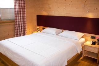 Chalet Schoenberg mit Sauna und Kamin in Oberbayern - 5