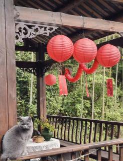 梵净山半山归宿别苑 - 6