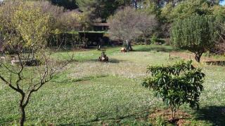 le Mas du Pin Vert - Aubagne - 8