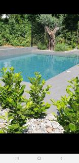 Luxury Apartment - Danka - 4