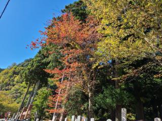 Ichimaru Ryokan - Vacation STAY 77709v - 7