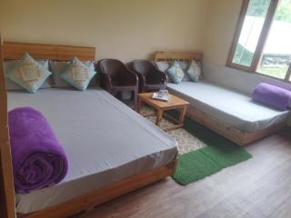 Orange sky River side home stay jibhi - 9