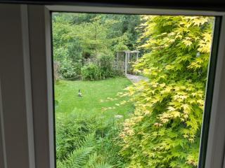 Little Pandy Cottage - 5