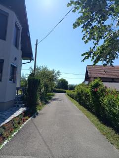 Apartman Lili - 7