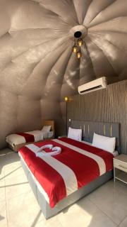 ILORA RUM LUXURY CAMP & Bubble Hotel - 0