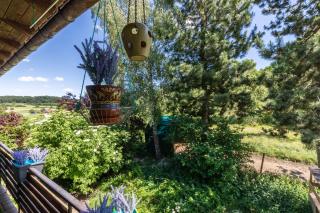 Little Cowhorse Ranch - 1