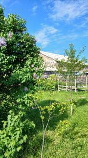 Family house - Sewan - 8