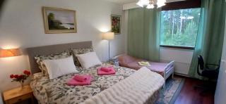 Saimaa Parkview Luxury Suite - 9