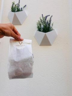 Valcova Home, your luxury escape in Ostuni - 7
