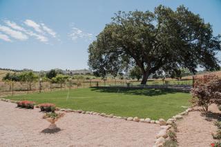 L'Antica Quercia B&B - 2