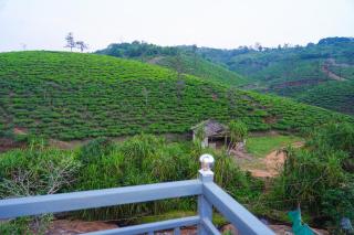 River side - 1