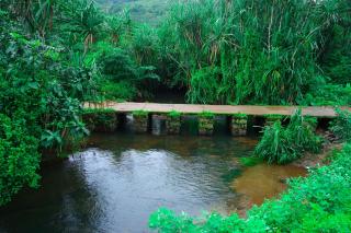 River side - 7