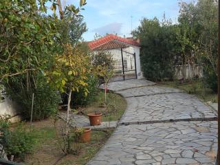 The House - 7