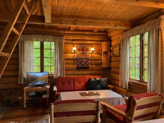 Mountain cabin 3 in Ål with sauna - 9