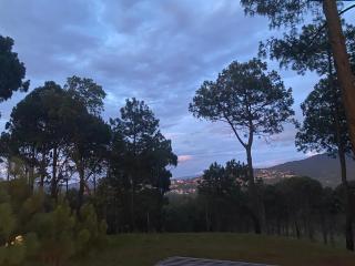 Altomonte - 3