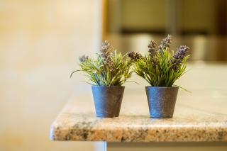 Elegant apartment with pool and garage - Bordighera - 6