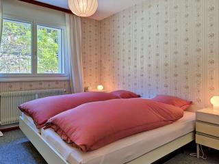 Apartment Clairière des Barzettes A16 by Interhome - 1