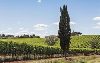 Stunning Home In Cortona - 6