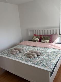 Borders Loft 2 minutes from Basel- Near airport - 3
