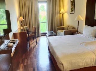 The Grand Luxury Villa Hotel By GK Group Near IGI Delhi Airport - 8
