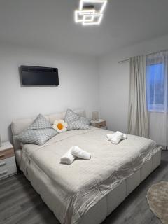 Cozy Apartment - 3