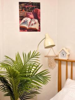 Stay Joy - Suwon - 9