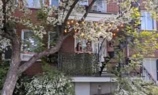 Trendy Limoilou 9 guests 2BR AC 2 parking - 6