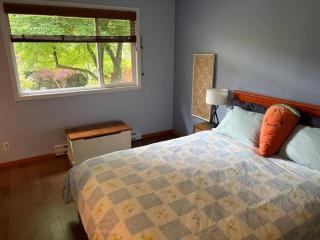 SnugSurprise - Beautiful Cottage in Snug Cove - 6