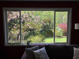 SnugSurprise - Beautiful Cottage in Snug Cove - 4